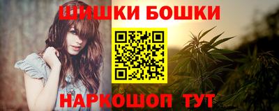 гидра Бердск