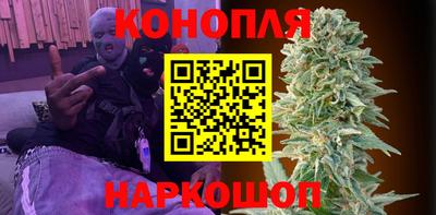 гидра Бердск