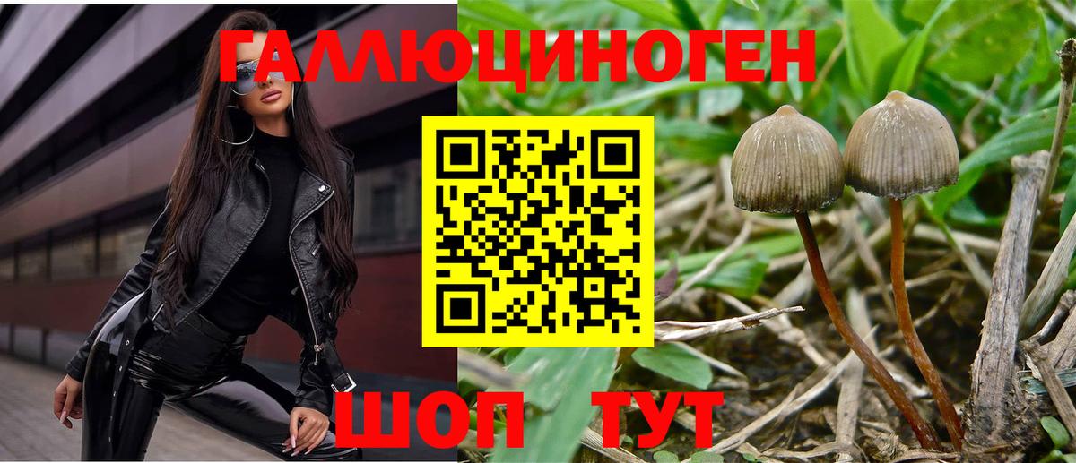 Псилоцибиновые грибы Magic Shrooms  Вход с VPN  Альметьевск 